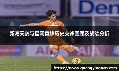 新泻天鹅与福冈黄蜂历史交锋回顾及战绩分析